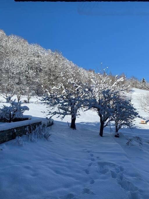 Meribel De Severine *